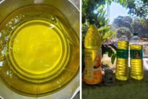 नाशिकमध्ये खळबळ! भूगर्भातील पिवळ्या पाण्यात आढळले तब्बल १ हजार पट जास्त ‘क्रोमियम’; नागरिक गंभीर आजारांच्या विळख्यात